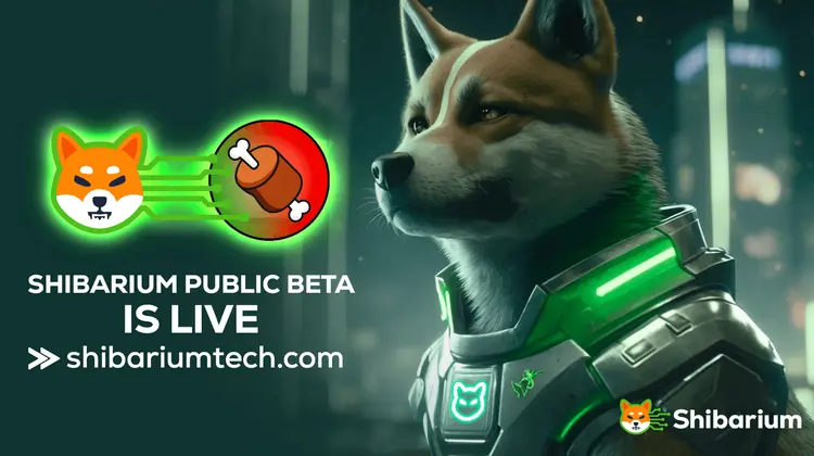 Shiba Inu Coin van 2025 tot 2030