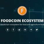 Webseite FoodCoin