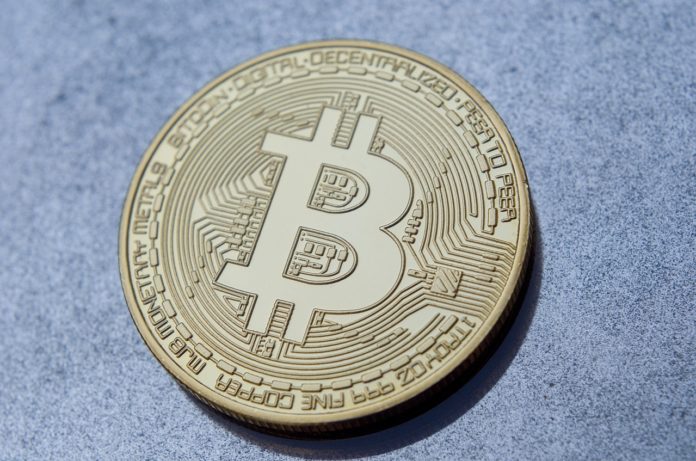 Grayscale Report Institutionen investieren 70 Prozent in Bitcoin - Coincierge