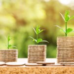 Welche Summe sollte man investieren