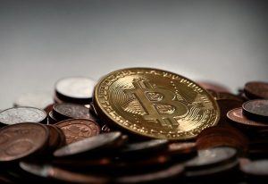 In Bitcoin & Ethereum investieren wie ein Bison