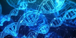 Biotech Aktien Kaufen DNA