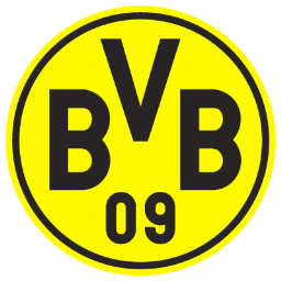 BVB Icon