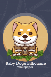 Baby Doge Billionaire Whitepaper