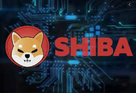 Shiba Inu Logo mit Hintergrund