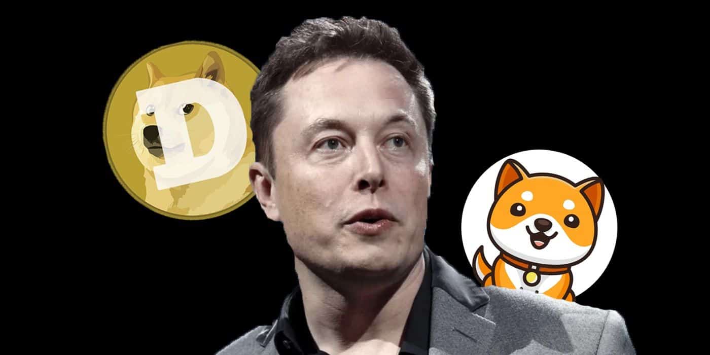 Elon Musk DOGE