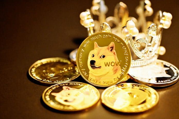 Bullish Dogecoin und Shiba Inu sind auf Platz 1 der meistgesuchten Coins in den USA