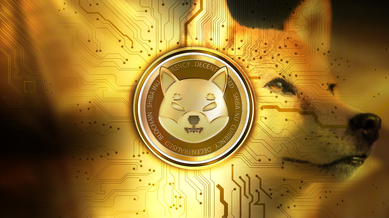 shiba inu coin bald bei krypto borse kraken erhaltlich jetzt mobile legends