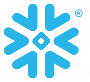 Snowflake Logo Icon