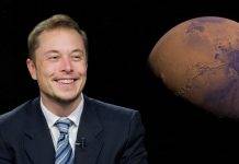 NFTs als Profilbilder auf Twitter „Nervig“, findet Elon Musk