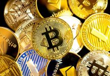 Altcoins explodieren! Bitcoin Gold, Ethereum Classic & Dash – jetzt einsteigen?