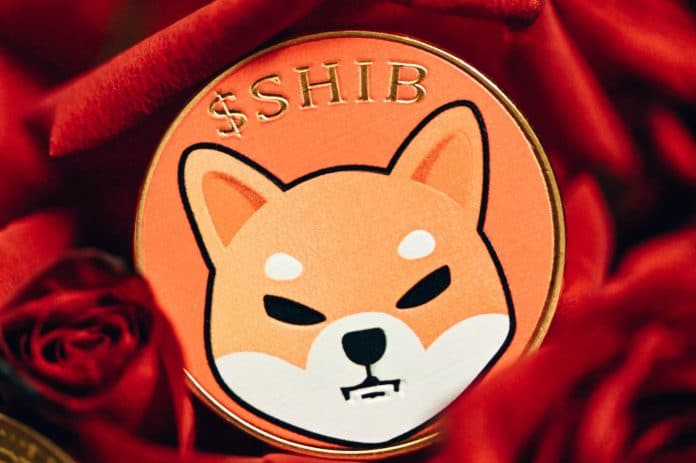 Shiba Inu Exodus! 32.000 Inhaber verlieren das Interesse am „Dogecoin-Killer”