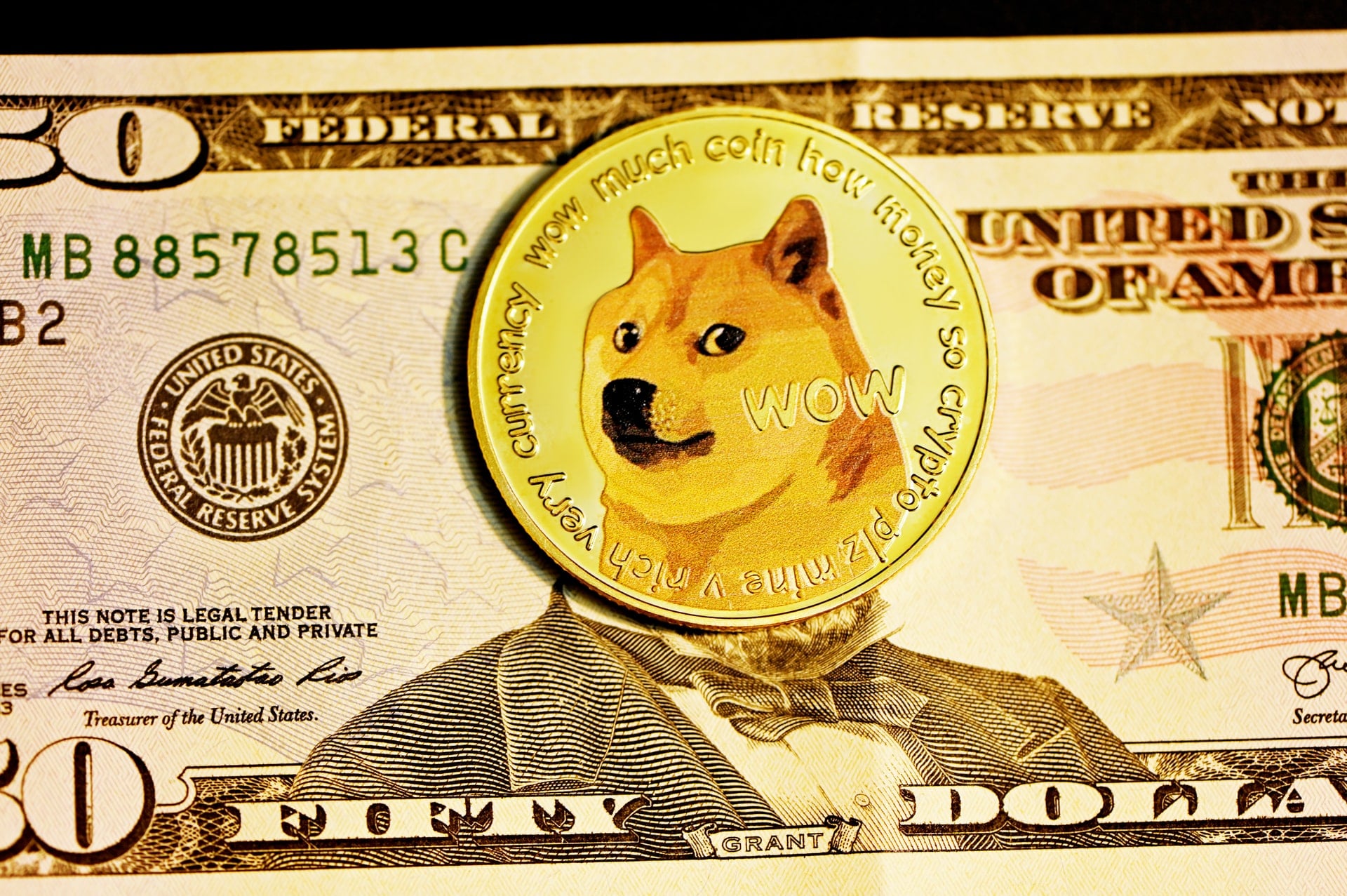 In Dogecoin investieren ➡️ Lohnt sich das DOGE Investment