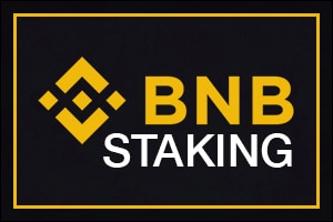 BNB staking