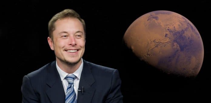 Sam Bankman-Fried & FTX Jetzt meldet sich sogar Elon Musk zu Wort