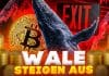 Bitcoin Kurs Prognose Wale steigen in Scharen aus! Folgt jetzt der Unter-$10k-Sturz?
