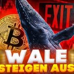 Bitcoin Kurs Prognose Wale steigen in Scharen aus! Folgt jetzt der Unter-$10k-Sturz?