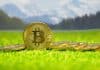 Krypto News Silicon Valley Bank Regierung beschließt Rettungsplan – Bitcoin & Co. erholen sich massiv, USDC wieder bei 1 Dollar
