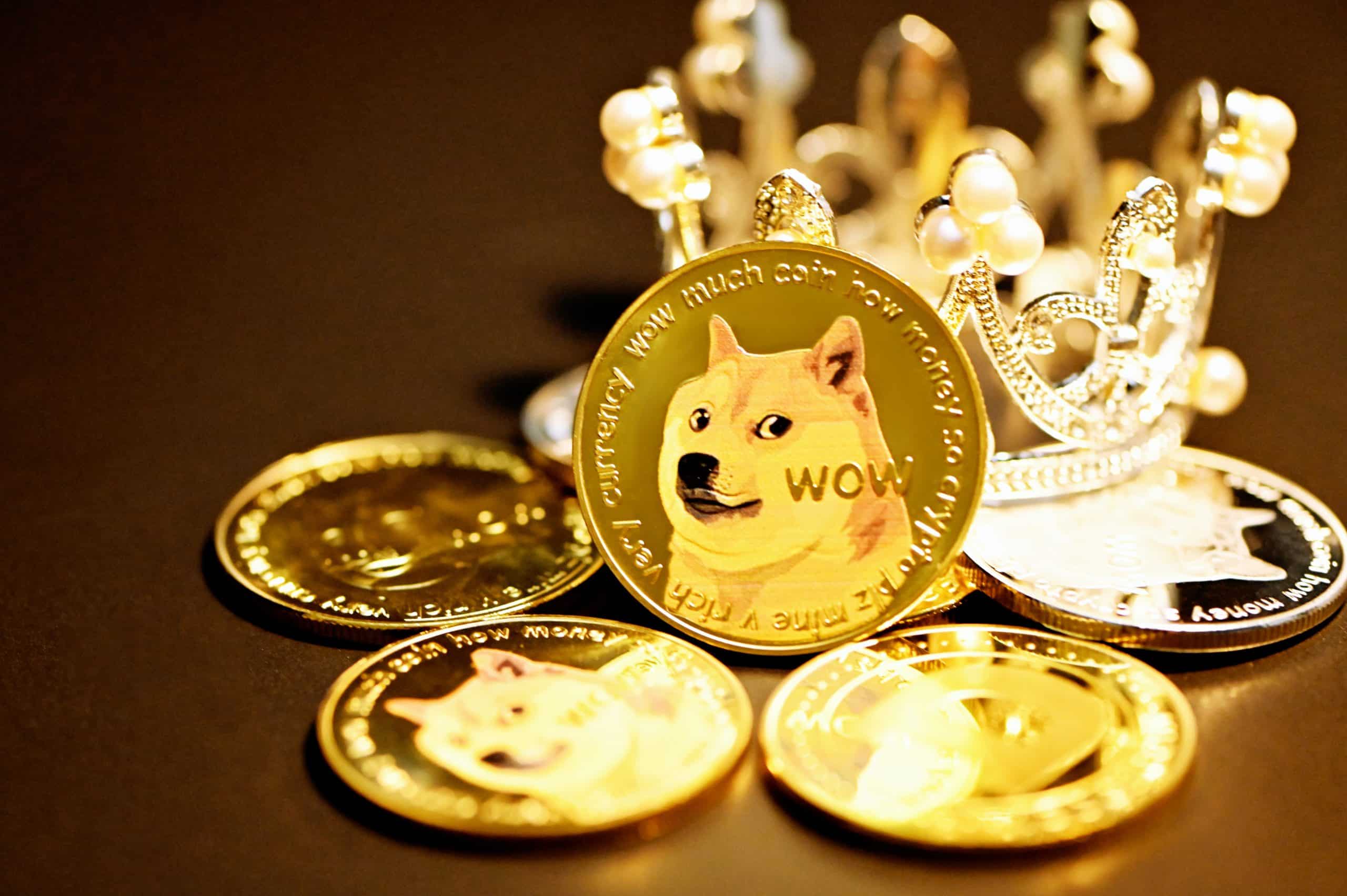 Dogecoin DRC20 Token