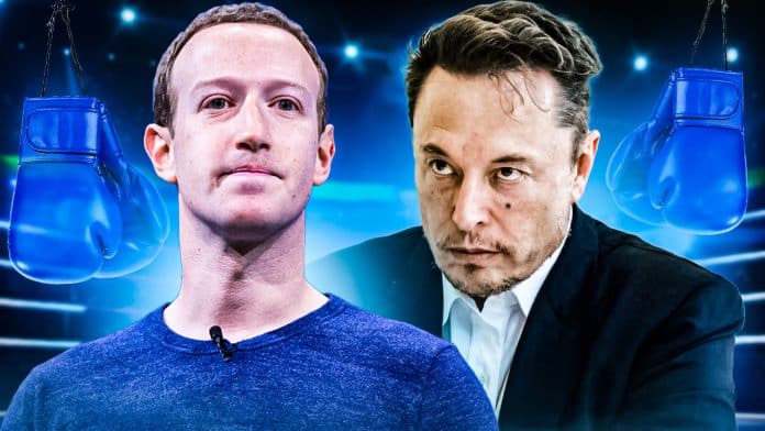Krypto News Hype um „MuskvsZuck“! Was der irre Käfig-Kampf von Musk und Zuckerberg für Anleger jetzt bedeutet