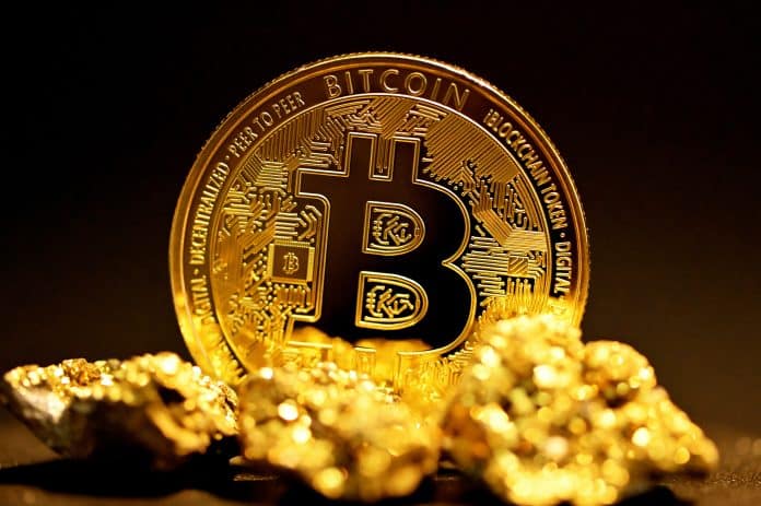 BlackRock CEO nennt Bitcoin „digitales Gold“, während dieser Meme-Coin steigen könnte