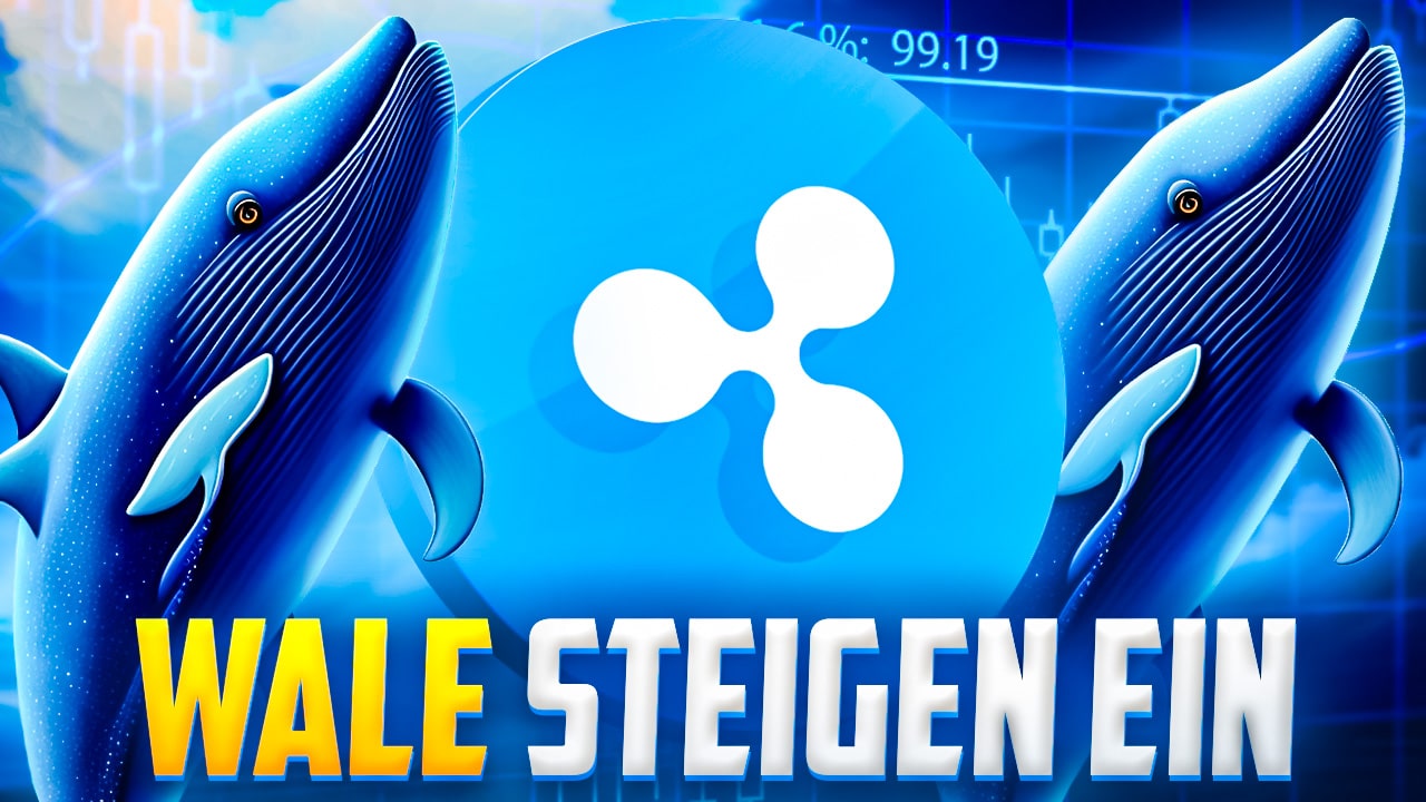 Ripple Kurs Prognose Bullishe Signale Wale Steigen Ein Xrp