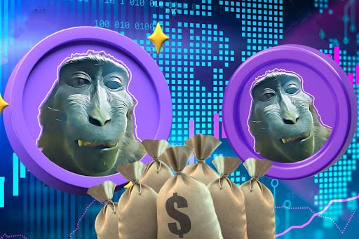 Rizz Monkey to Dominate the Meme Coin Market from September