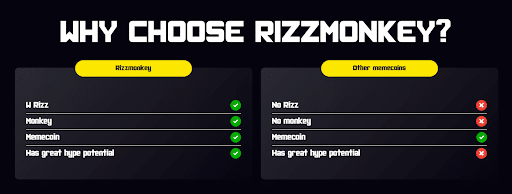 Why Choose Rizzmonkey