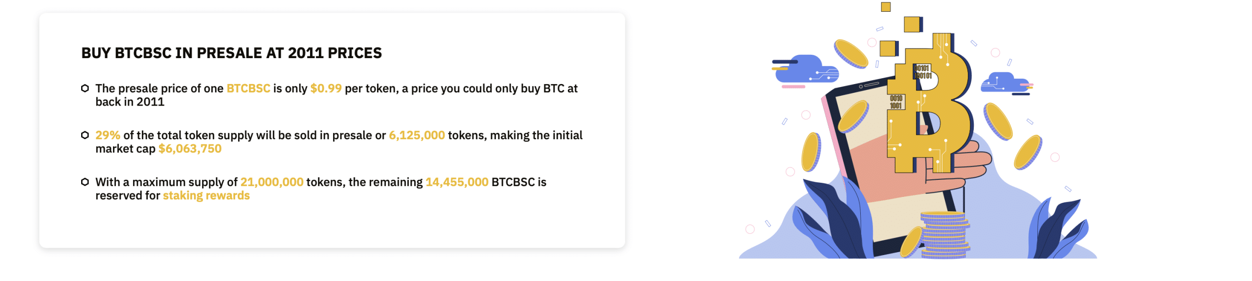 Bitcoin BSC 2011