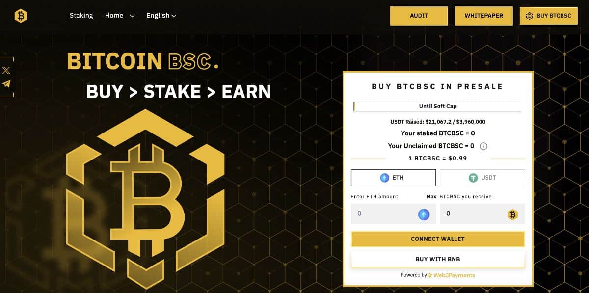 Bitcoin BSC Homepage
