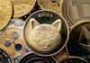 Inmitten der Dogecoin- und Shiba-Inu-Gewinne taucht ein neuer Meme-Coin als dunkler Vorreiter auf