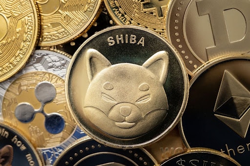 Inmitten der Dogecoin- und Shiba-Inu-Gewinne taucht ein neuer Meme-Coin als dunkler Vorreiter auf