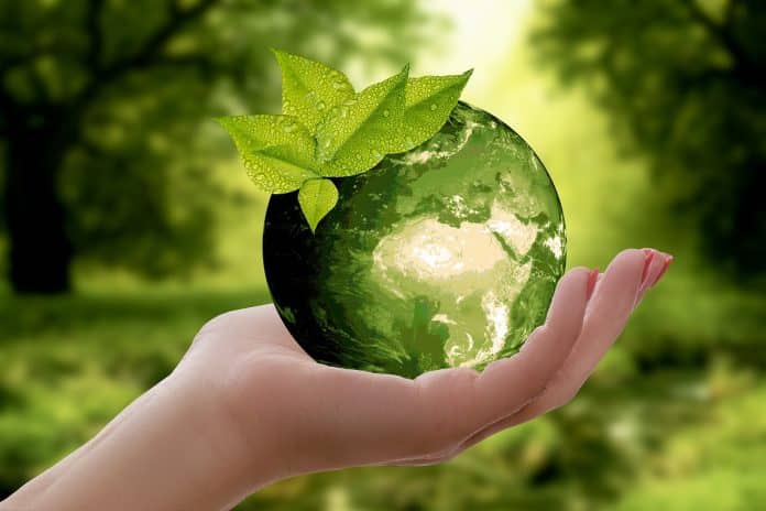 Öko-Investitionen im Zeitalter der Technologie: Die Rolle der Seltenen Erden von NeoTech Metals in grünen Halbleitern
