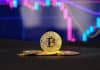 Bitcoin Netzwerkgebühren erreichen $40 bei einem Anstieg; Polkadot & Borroe Finance im Blick für massives Wachstum