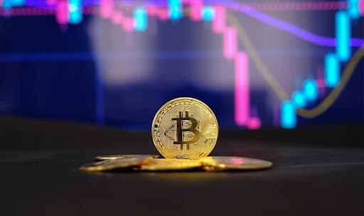 Bitcoin Netzwerkgebühren erreichen $40 bei einem Anstieg; Polkadot & Borroe Finance im Blick für massives Wachstum