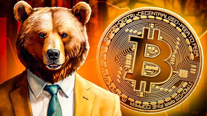 Krypto News Bitcoin am Ende? Profi-Trader warnt Die Rallye ist nur Fake – der „echte“ Absturz kommt erst noch!
