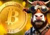 Bitcoin News Kurs Explosion steht bevor! Top-Analyst sieht „bullishsten Katalysator“ der letzten Jahre – jetzt kaufen?