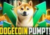 Dogecoin pumpt!