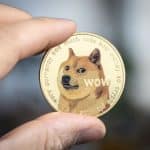 $DOGE könnte wieder zu den profitabelsten Meme-Coins gehören. Der hochrangige Altcoin könnte zu den Zahlungsoptionen auf X (ehemals Twitter) gehören, da Musk plant, den Zahlungsdienst auf der Plattform zu integrieren.