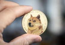 $DOGE könnte wieder zu den profitabelsten Meme-Coins gehören. Der hochrangige Altcoin könnte zu den Zahlungsoptionen auf X (ehemals Twitter) gehören, da Musk plant, den Zahlungsdienst auf der Plattform zu integrieren.