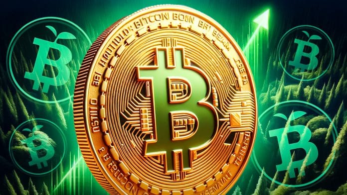 Bitcoin Kurs explodiert +10,76% in 24h – jetzt Bitcoin kaufen oder diese grüne Alternative?