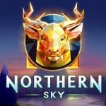 Northern Sky Logo