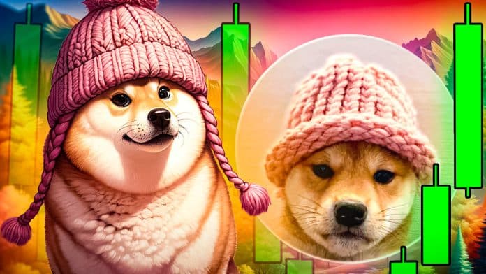 +51,25% in 24h! dogwifhat (WIF) pumpt immer weiter – der beste Meme Coin zum jetzt kaufen?