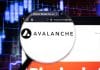 Avalanche und Chainlink Investoren wenden sich dem Presale von Borroe Finance zu