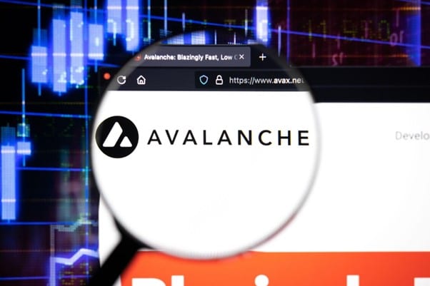 Avalanche und Chainlink Investoren wenden sich dem Presale von Borroe Finance zu