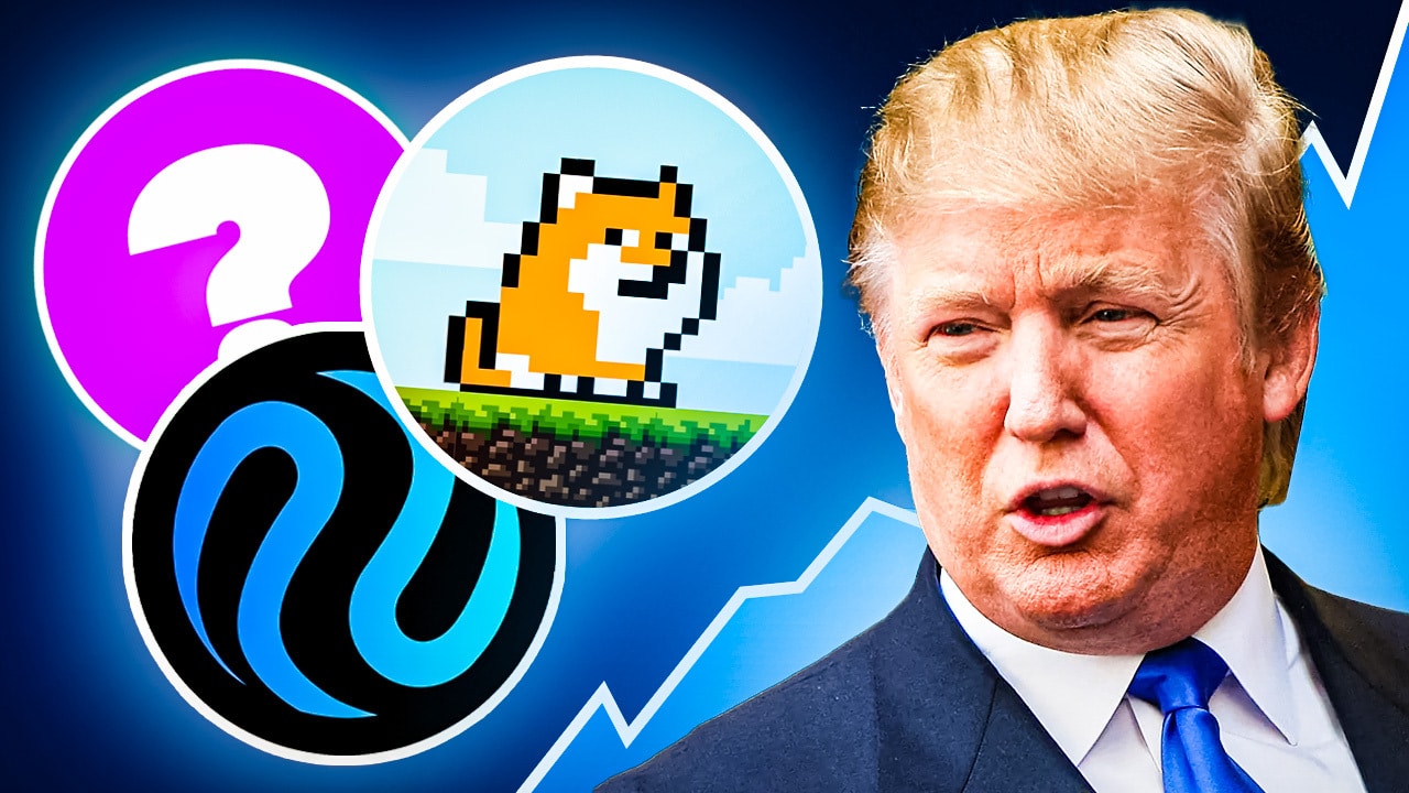 Krypto News: Wallet enthüllt! Diese Coins kauft Donald Trump – jetzt mit  einsteigen?