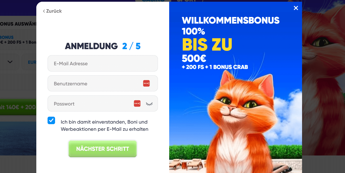 Cazimbo Anmeldung 2