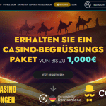 BookofCasino Titelbild