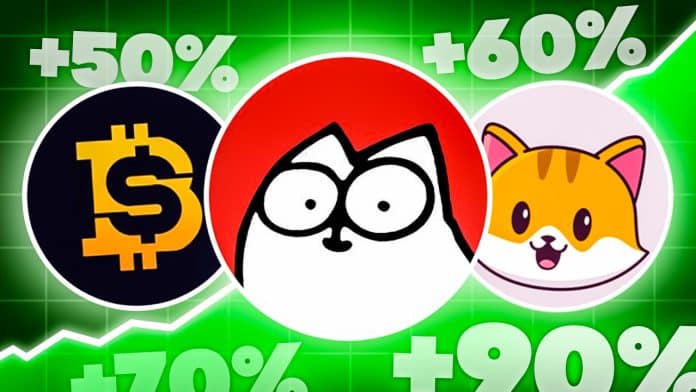 +71,23% in 24h! ShibaBitcoin, Simon's Cat & CateCoin explodieren Sollte man die Memecoins kaufen?