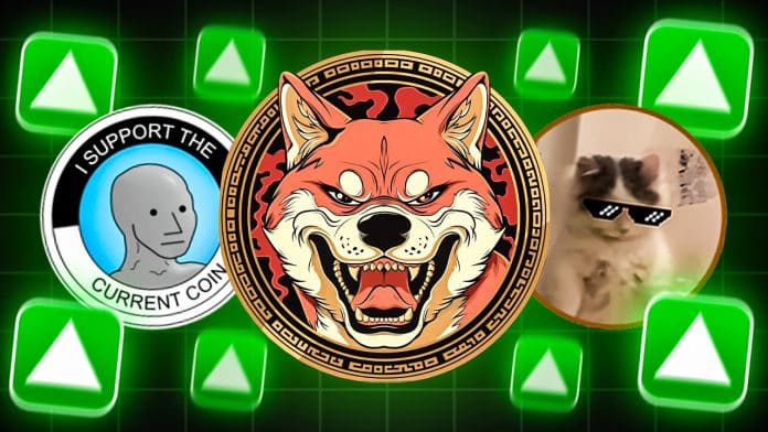 Krypto News LUCE, KENDU, $MICHI & NPCS Das sind heute die beliebtesten Memecoins unter Anlegern